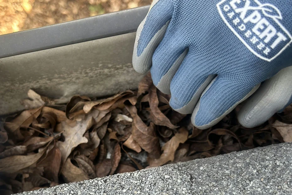 Gutter Cleaning Snellville