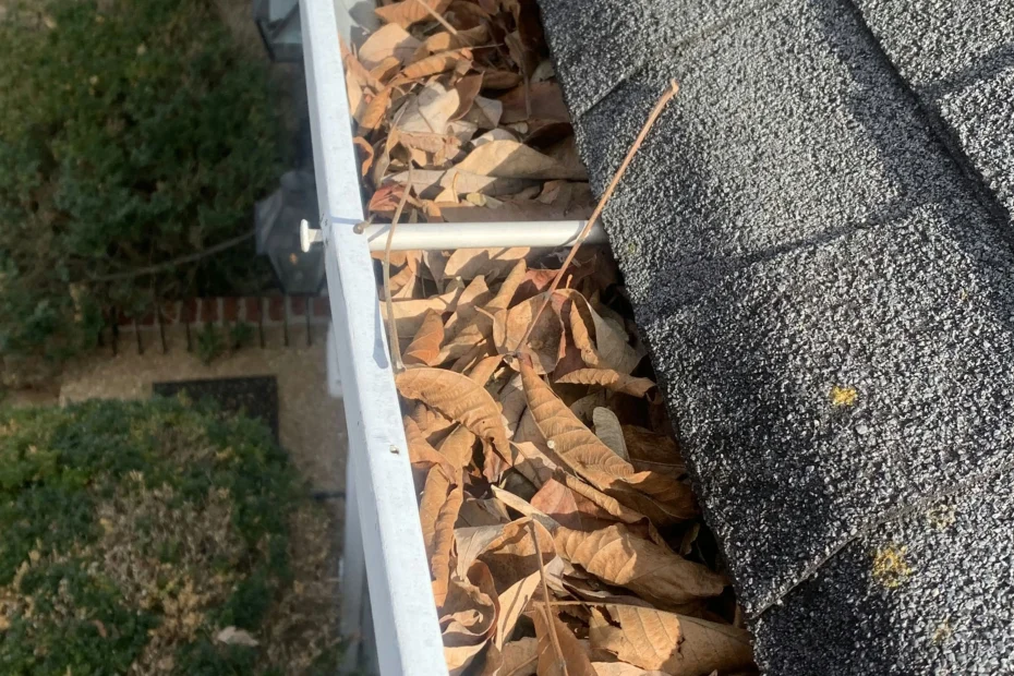 Gutter Cleaning Snellville