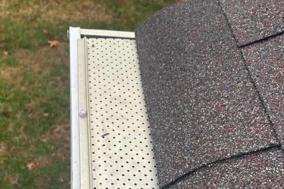 Gutter Cleaning Snellville