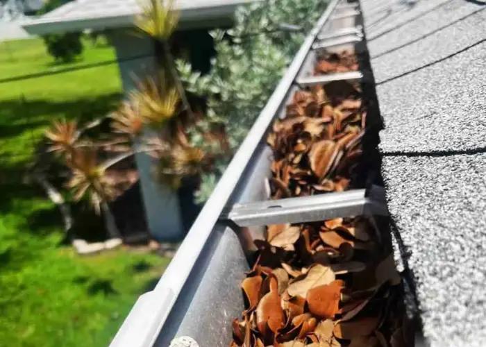 Gutter Cleaning Snellville home page